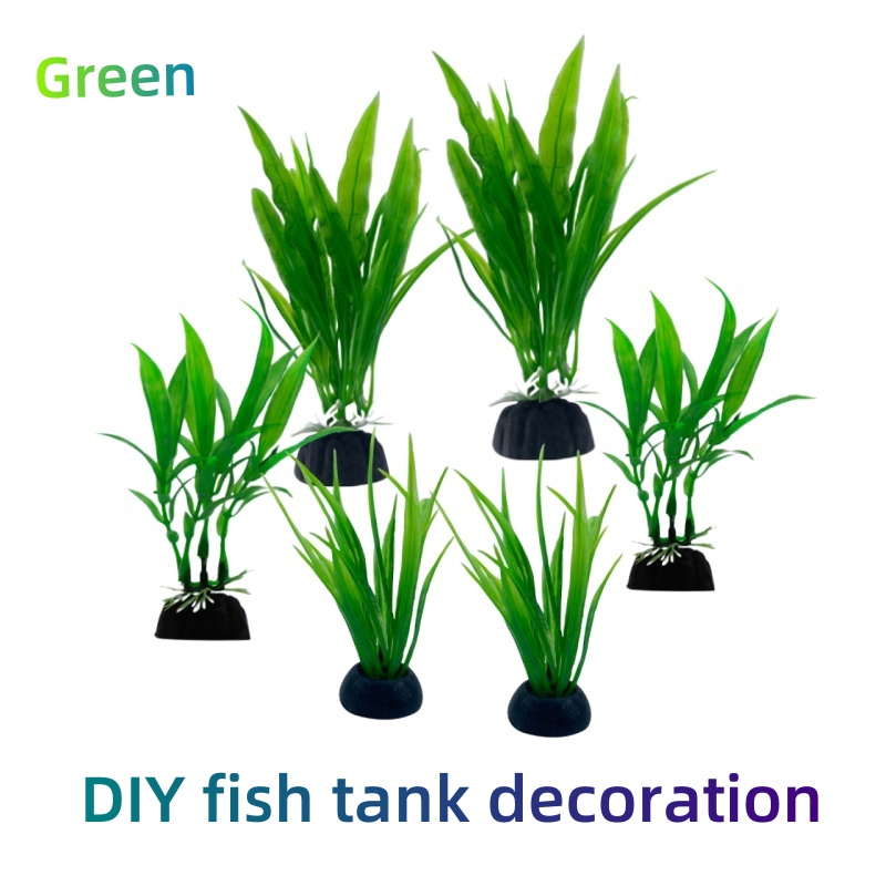 6pcs Packs Aquarium Plants, Fi - đánh giá và giá Live Plant Aquarium