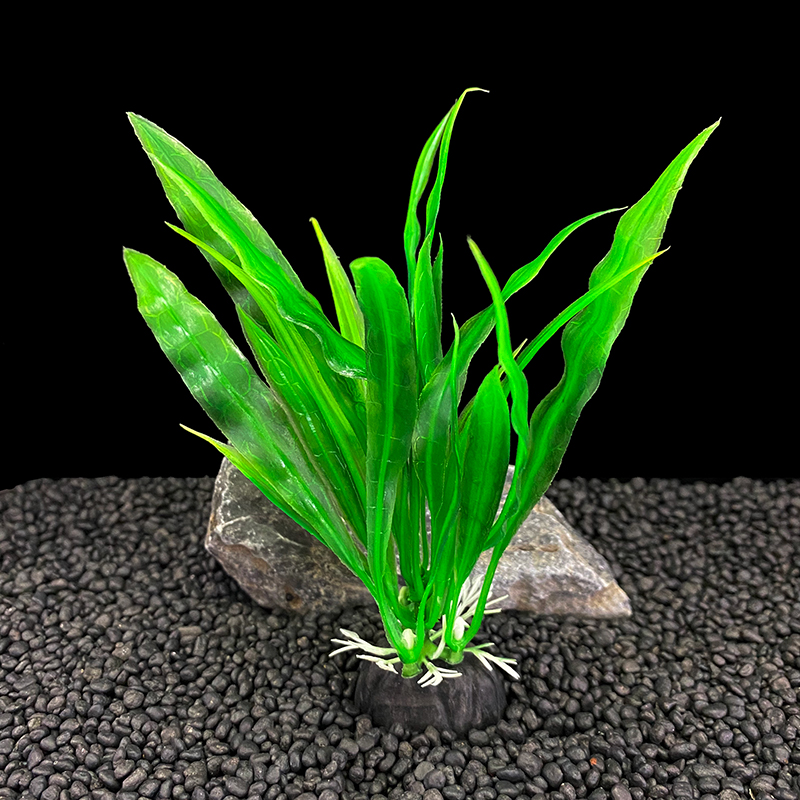 6pcs Packs Aquarium Plants, Fi - đánh giá và giá Live Plant Aquarium